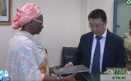 Mali's Energy Transition: A New 100 Megawatt Solar Power Plant to be Constructed Near Fana