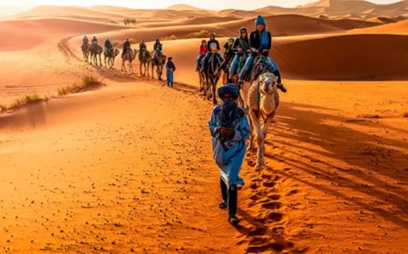 CIA Document Reveals Algeria's Role in Western Sahara Conflict, According to Declassified Report