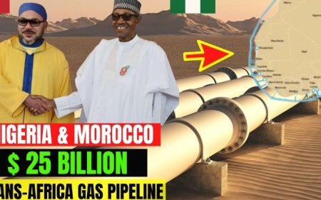 SoftPower/ Morocco's Geostrategic Vision in Africa: From Concept to Reality