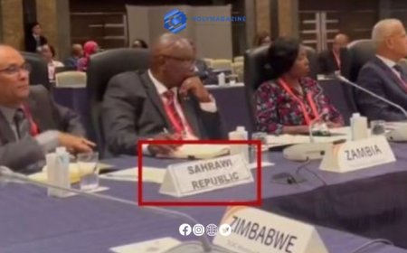 Japan Rejects Polisario's Attempts to Infiltrate TICAD9 Preparatory Meeting