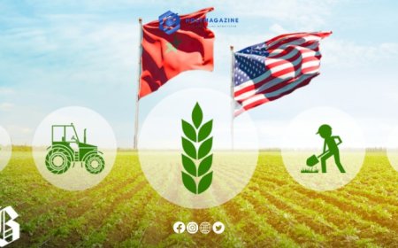 USDA to Lead Agribusiness Trade Mission to Morocco in December 2024