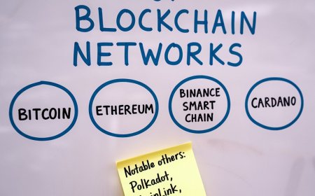 Top Blockchain Networks: A Comprehensive Guide