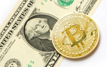 Bitcoin vs. Fiat Currencies: What’s Different About Cryptocurrencies?