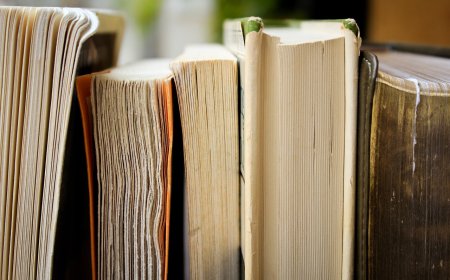 The Impact of School Culture on Academic Achievement
