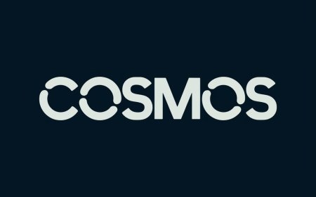 A Closer Look at the Cosmos Network: Bridging the Blockchain Universe