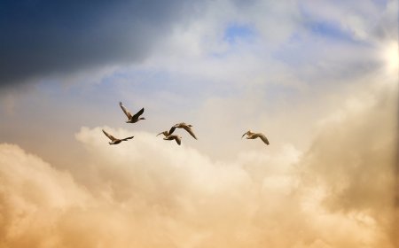 American Art and the Expression of Nationalism : An Exploration