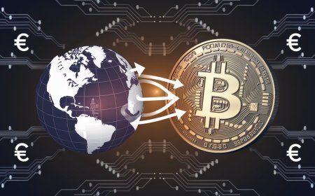 The Role of Bitcoin in the Global Economy
