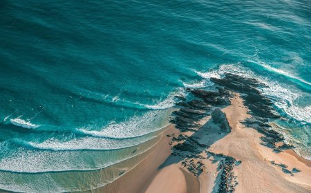 Amazing Facts About the Oceans and Marine Life