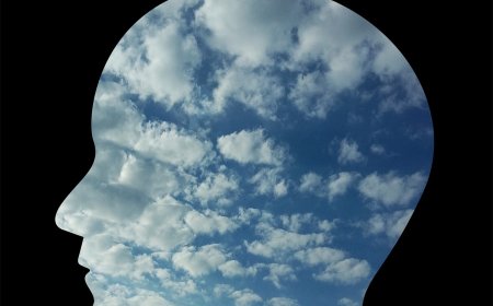 The Human Brain : Facts That Will Amaze You