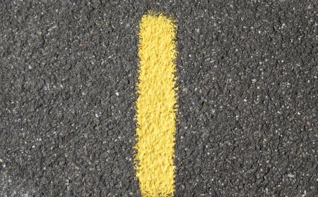 Amazing Facts About World Records