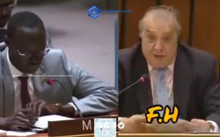 Mali Rejects Algerian Envoy's "Baseless Accusations" at UN Security Council