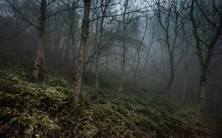 The Most Mysterious Places in the World : Facts You Didn't Know