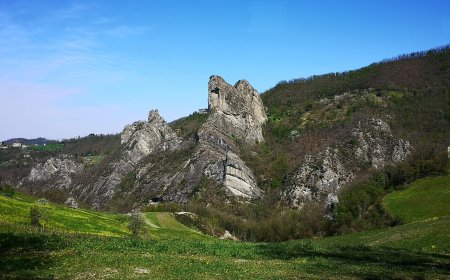 Amazing Facts About the Natural World