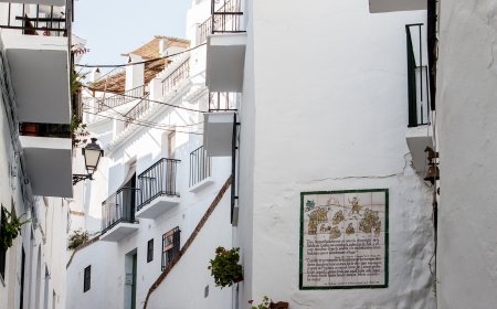 The Evolution of Human Culture : Facts and Figures