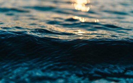 Amazing Facts About the World’s Deepest Oceans