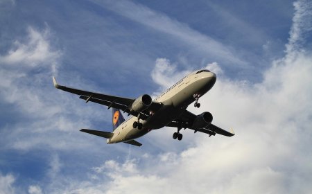 The History of Aviation : Facts That Rise Above the Rest