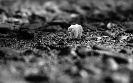 Facts About the World’s Most Endangered Species