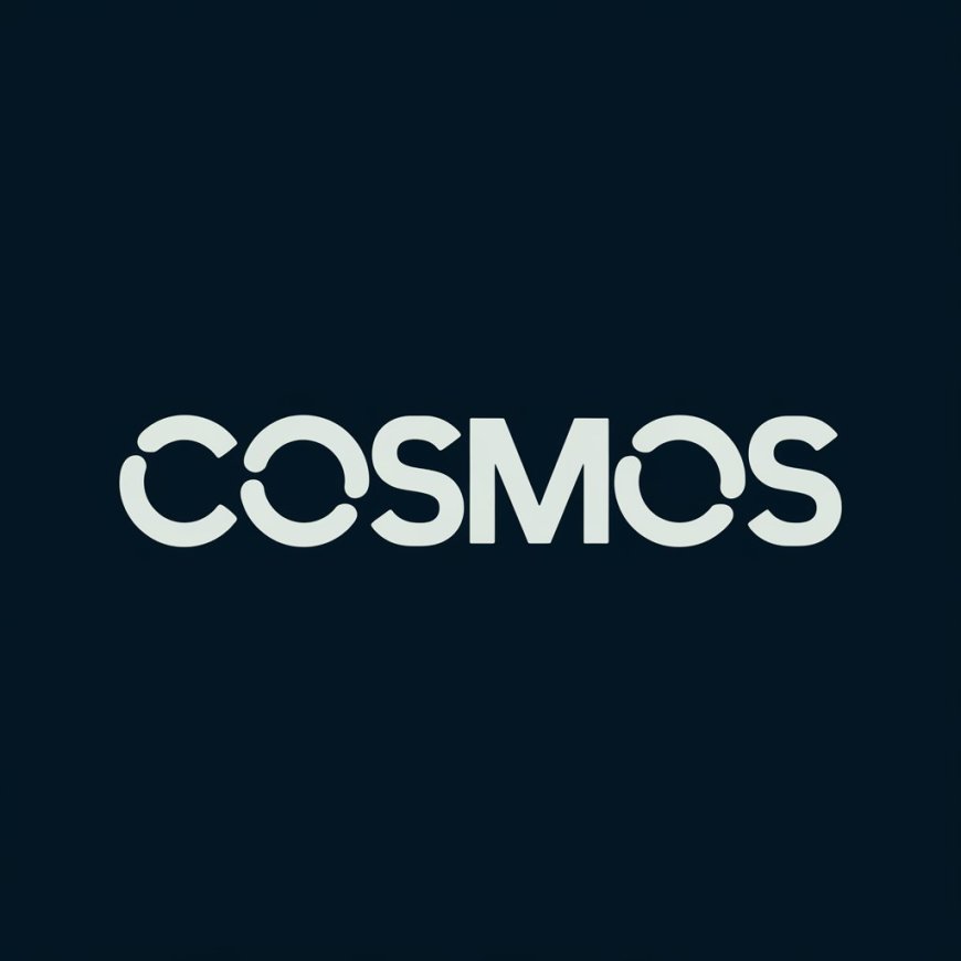 A Closer Look at the Cosmos Network: Bridging the Blockchain Universe