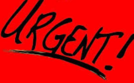 Earthquake of 4.9 Magnitude Hits Central Turkey