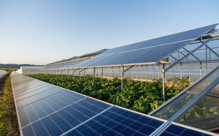 How Can Integrated Photovoltaic Systems Increase Agricultural Efficiency?