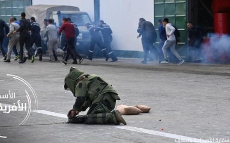 Strengthening Disaster Response: Morocco's Role in the "African Lion" Exercises