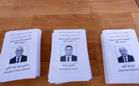 Incumbent Tebboune Re-elected for Second Term as Algerian President