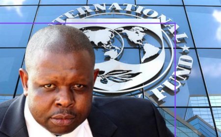 South African Opposition Leader John Hlophe Calls for Severing Ties with IMF (video)