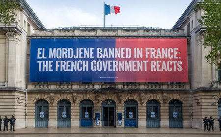 El Mordjene banned in France: the French government reacts