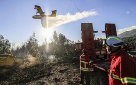 Morocco Dispatches Firefighting Aircraft to Combat Wildfires in Portugal