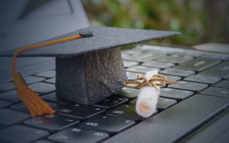 Top Online Degree Programs for Working Adults in 2024