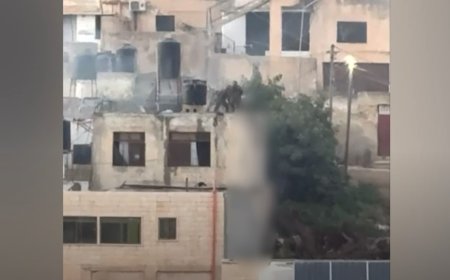 Israeli Military Responds to Shocking Video of Soldiers Mishandling Palestinian Bodies in West Bank