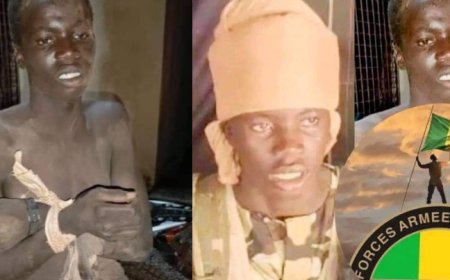 Malian Armed Forces Capture Key JNIM Propaganda Operative (video)