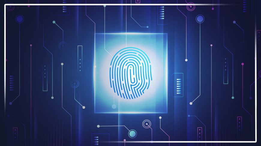 Exploring the Potential of Biometric Security Systems