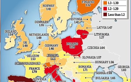 Europe Faces a Fertility Crisis: Declining Birth Rates Pose Economic and Demographic Challenges