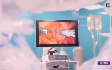Morocco Makes History in Telemedicine: 12,000km Remote Prostatectomy Sets New World Record (video)