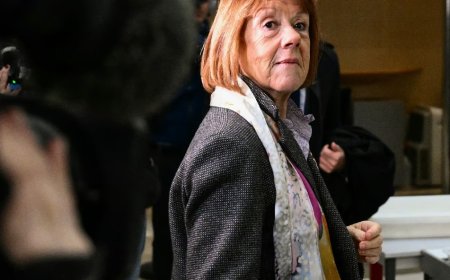 Mazan Rape Trial (Gisèle Pelicot): Prosecution Demands 20 Years for Dominique Pelicot