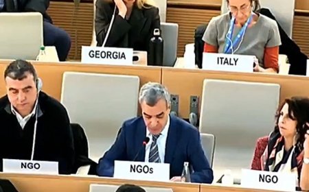 Kabyle Organizations Shine at the 17th Session of the UN Forum on Minority Issues (video)