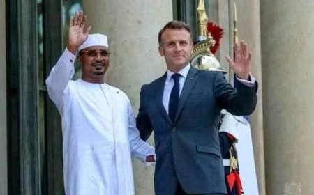 Senegal and Chad Demand Closure of French Military Bases and Withdrawal of Troops