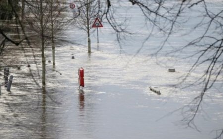 The floods in the south of Brazil have caused losses of $14.7 billion.