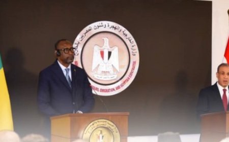 Malian Foreign Minister Visits Cairo to Strengthen Bilateral Cooperation