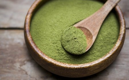 The henna enters UNESCO's intangible cultural heritage.