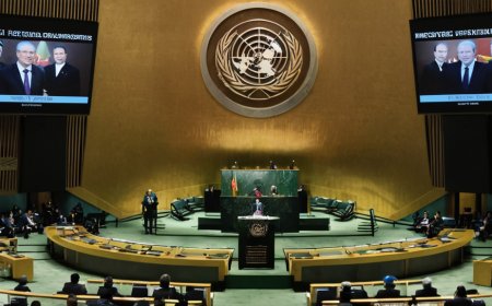 UN General Assembly Reaffirms Support for Political Process in Moroccan  Western Sahara