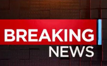 Syrian Opposition Coalition Unveils Transitional Political Plan