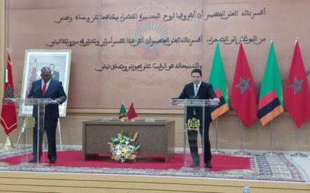 Bourita: 113 countries support the Moroccan Sahara and only 28 countries recognize the fictitious entity