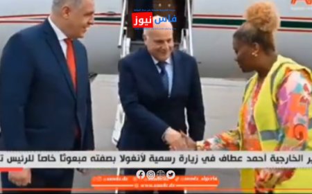 Diplomatic Missteps Raise Concerns for Algeria's International Standing (video)