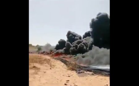 Niger-Benin Oil Pipeline Attacked: Implications for Regional Energy Projects (video)