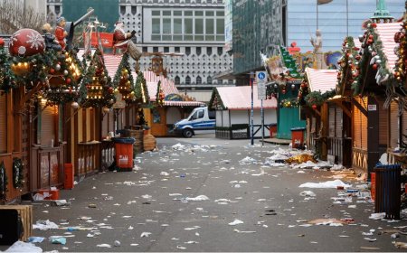 Magdeburg Christmas Market Attack Suspect: A Complex and Controversial Profile