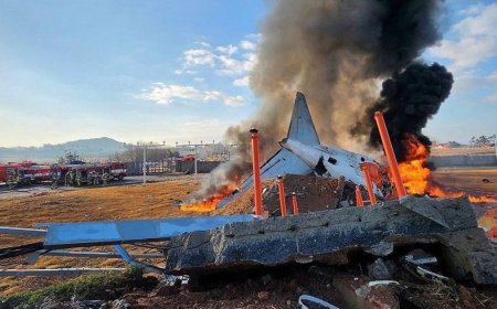 Tragic Plane Crash in South Korea: Jeju Air Disaster Claims 174 Lives (video)