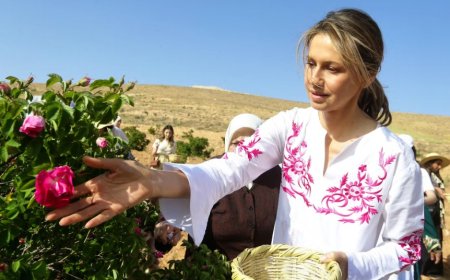 Asma al-Assad Battles Leukemia with 50% Chance of Survival
