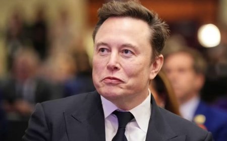 German Government Accuses Elon Musk of Attempting to Influence Federal Elections